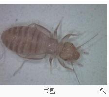游戏专题 第73页