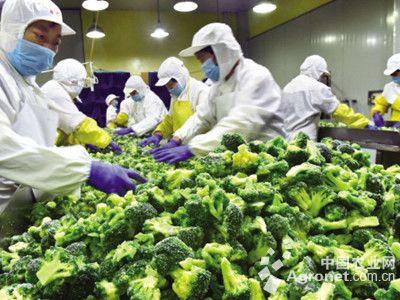 游戏专题 第39页