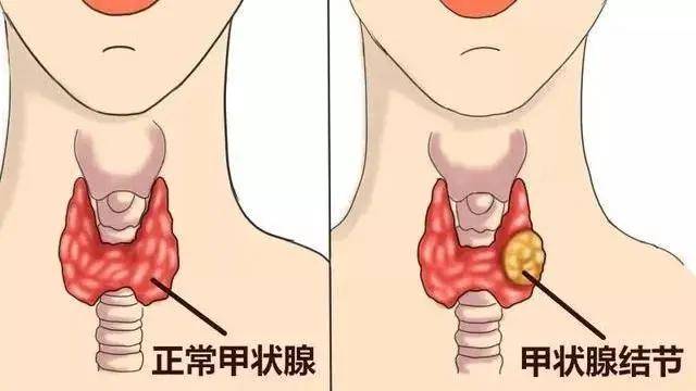 娱乐生活 第37页