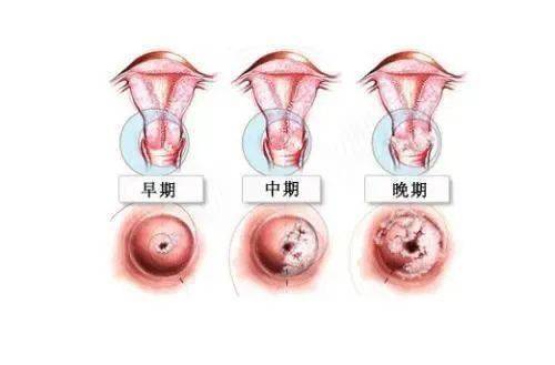 娱乐生活 第7页