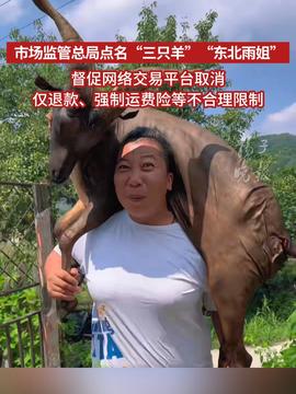 三只羊东北雨姐再被点名东北雨姐与三只羊的故事再次引发热议