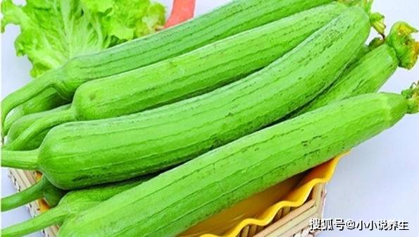 丝瓜汤是什么梗揭秘丝瓜汤背后的网络梗源
